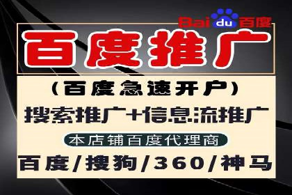 SEM代运营公司案例分析报告